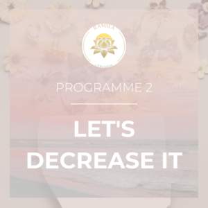 Programme 2 - LET'S DECREASE IT !