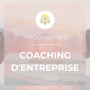 Programme 5 - COACHING D'ENTREPRISE